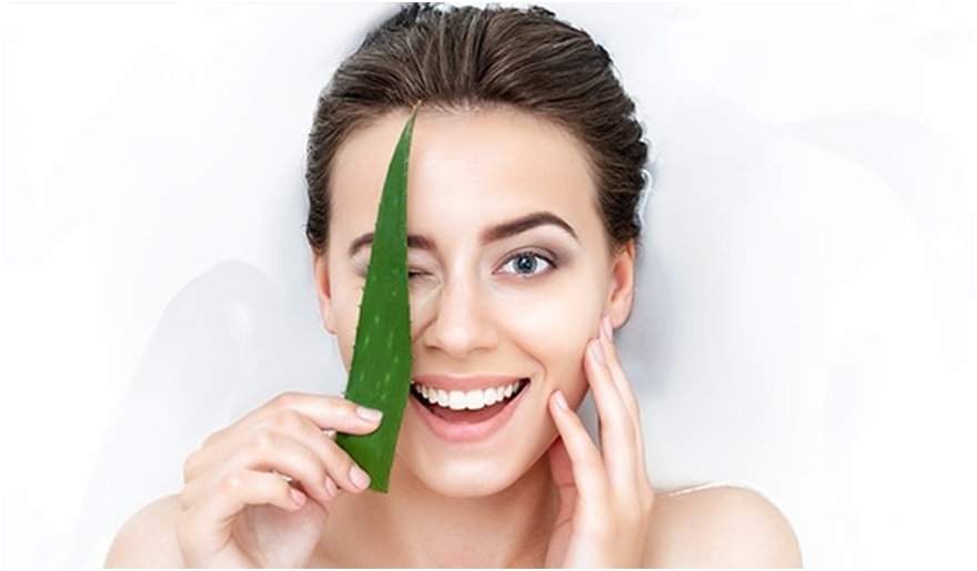 Outstanding Aloe Vera Hair and Skin Therapies